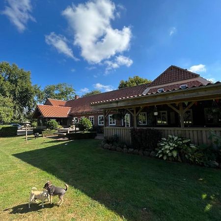 Familiehuis Boysen Bed&Breakfast Ribe Exterior foto