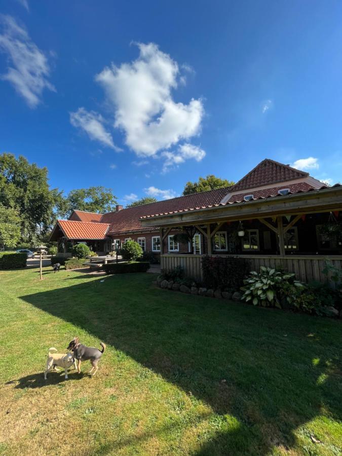 Familiehuis Boysen Bed&Breakfast Ribe Exterior foto